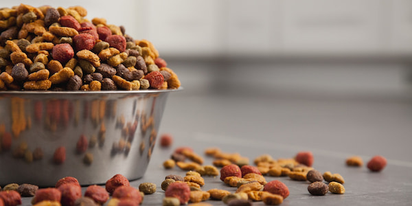 تصویر 1 از قیمت خوراک جونیور نژاد بزرگ + خرید باور نکردنی